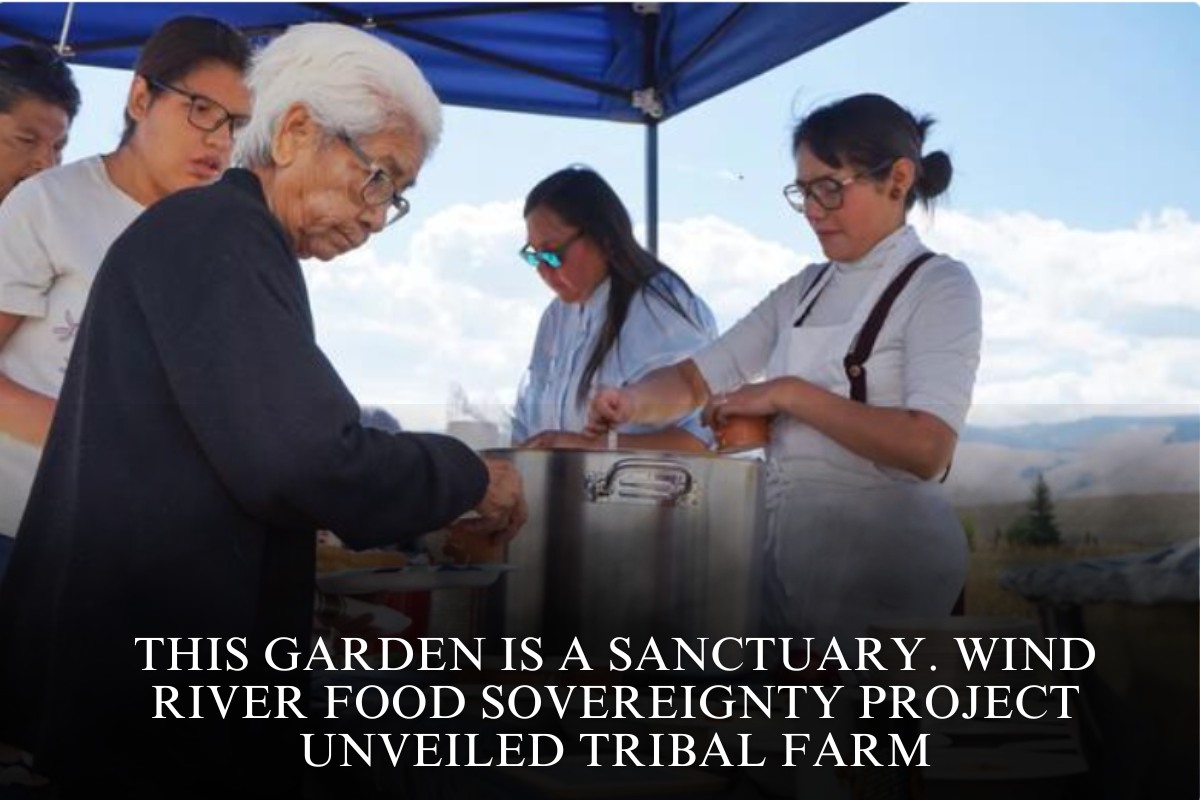 This garden is a sanctuary. Wind River Food Sovereignty Project unveiled tribal farm