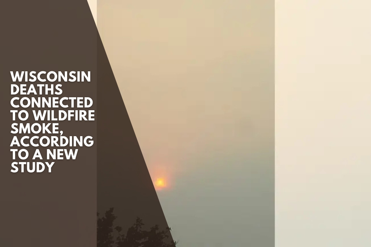 Wisconsin deaths connected to wildfire smoke, according to a new study